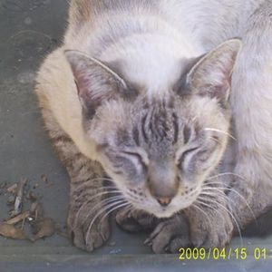 Meet your Posher, Hunter